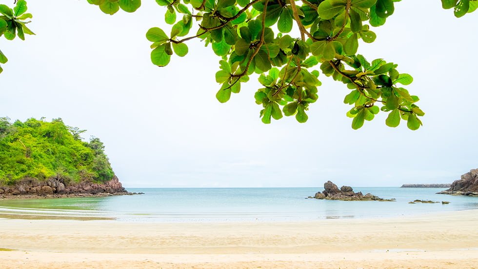a beach with a tree and rocks near the best rehab in thailand